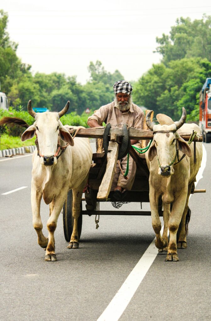 Punjab land of five rivers