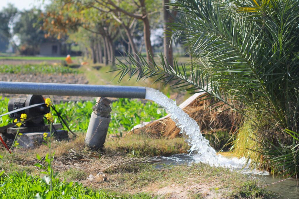 Punjab Diaries